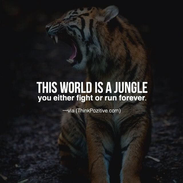 Positive Quotes : This world is a jungle you either fight 